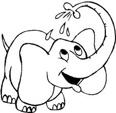 Elephant 18
